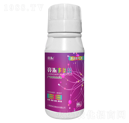 ���׶��ď��ĺ��� ��������