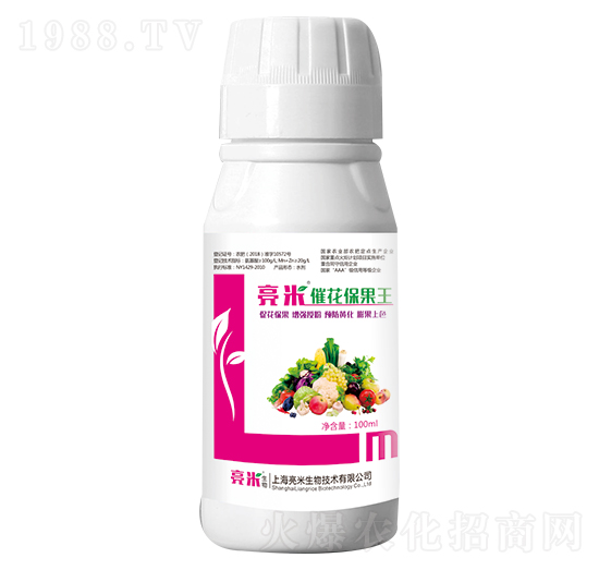 �߻������� ��������