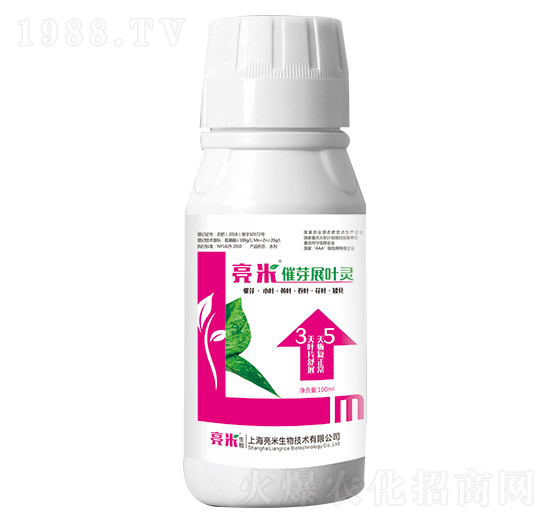 ��ѿչ�~�` ��������