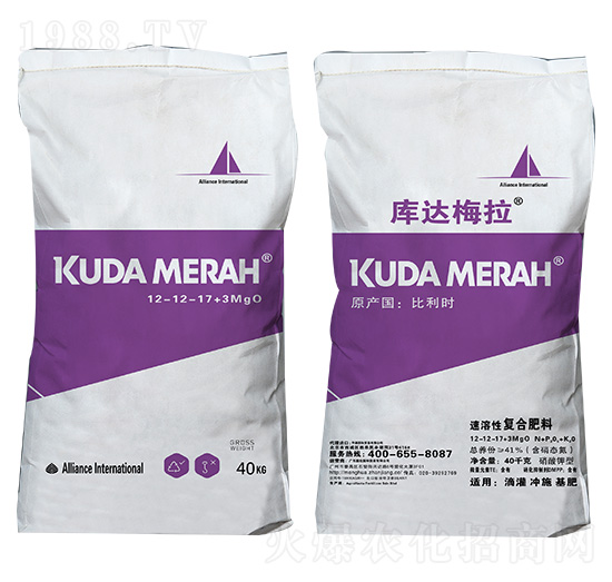 �M�������ԏ�(f��)�Ϸ���12-12-17+3MgO ���_÷��