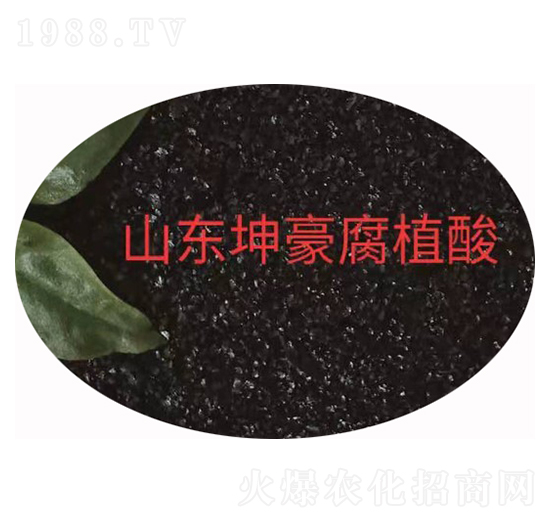 45%�S����⛺��S���� ����