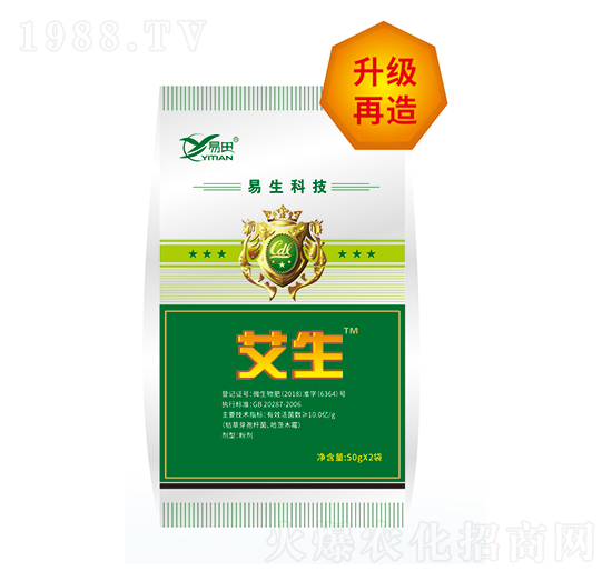 ���� ����