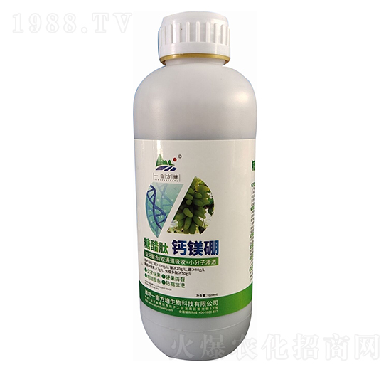 1000ml�Ǵ����}�V�� һ������