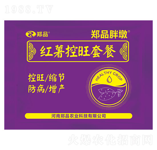 �t�������ײ� ��Ʒ�ֶ� ��Ʒ