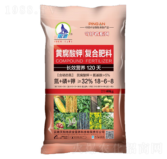 �S����⛏ͺϷ���18-6-8-���o��-����