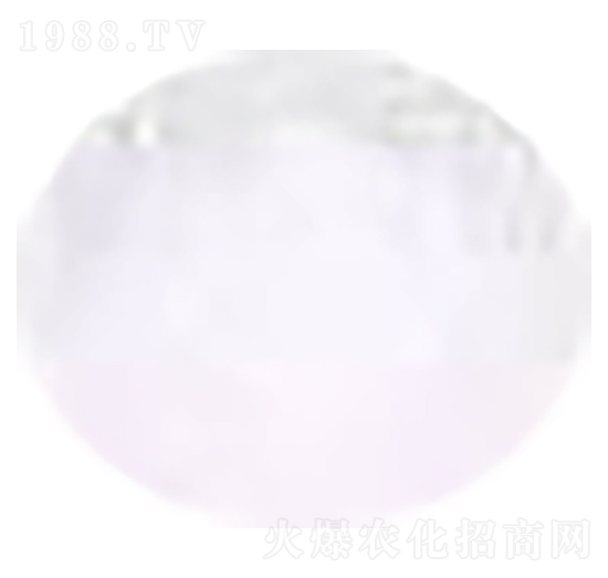 ���ʟo(w��)�������� ؐ���Z�r(n��ng)�I(y��)