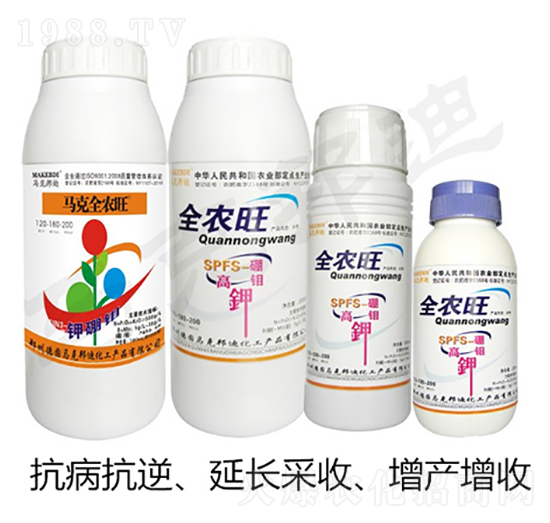 �R��ȫ�r��-�R�˰��