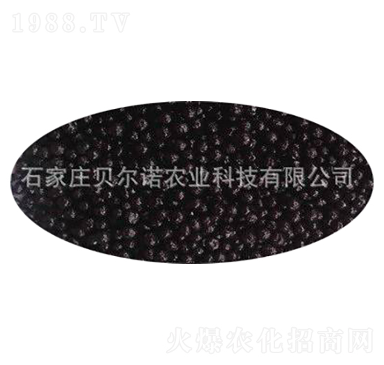 �ЙC(j��)�ʰ�Ĥ�� ؐ���Z�r(n��ng)�I(y��)