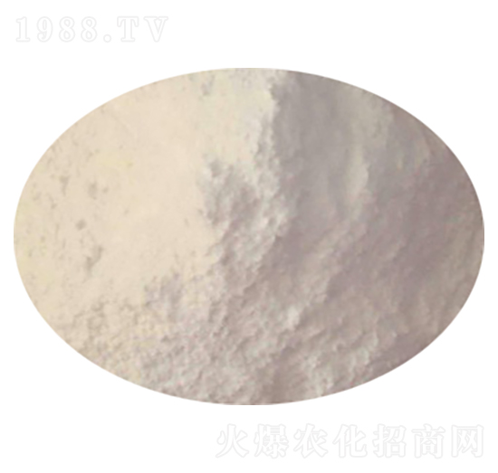 ���ʷ۠���Y�K�� ؐ���Z�r(n��ng)�I(y��)