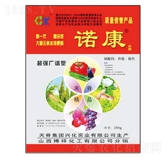 �V�V���Z��-��������