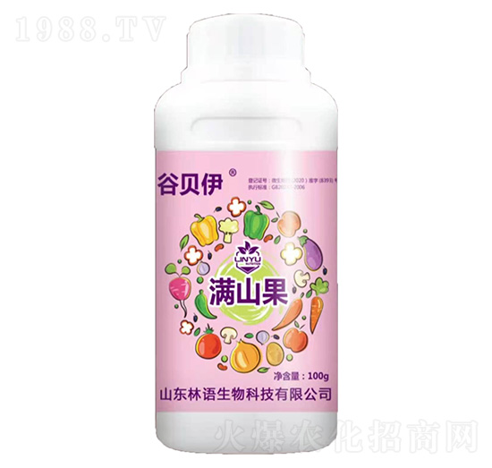 �Mɽ��-��ؐ��-���Z����