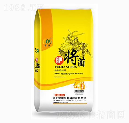 �����ЙC(j��)��-�ʌ���-�ǵ�