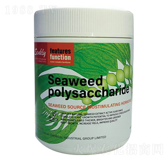 �G�����-���a(ch��n)��