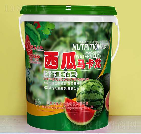 �����~������-�����R����-ľ�~ʯ����