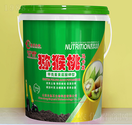 �ך����S�������-�J�����R����-ľ�~ʯ����