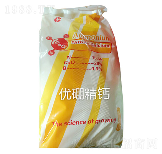 ��(y��u)���}-�ʺ̶��S