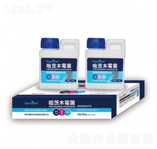 真菌細(xì)菌病害專用哈茨木霉菌-昆騰農(nóng)業(yè)
