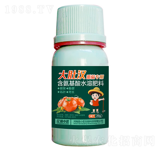 番茄專(zhuān)用含氨基酸水溶肥料-大肚漢-億田小匠