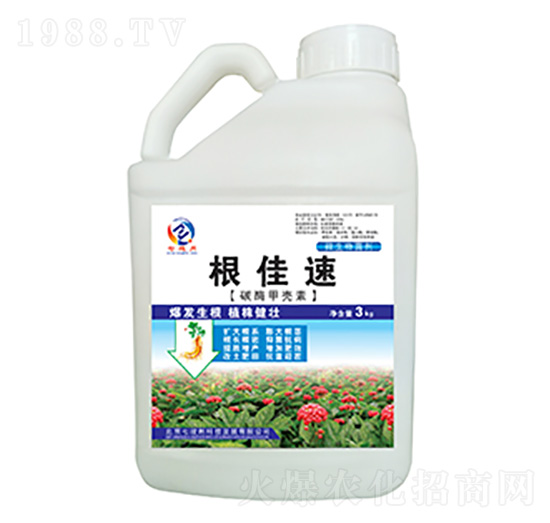 ̼ø�ך���-������-�߿���