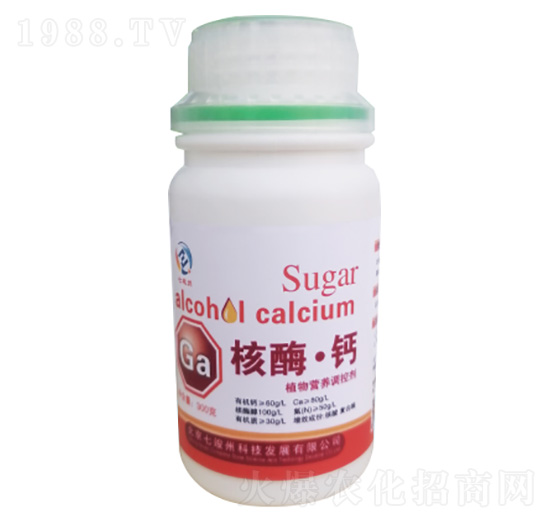 ��ø���}-�߿���