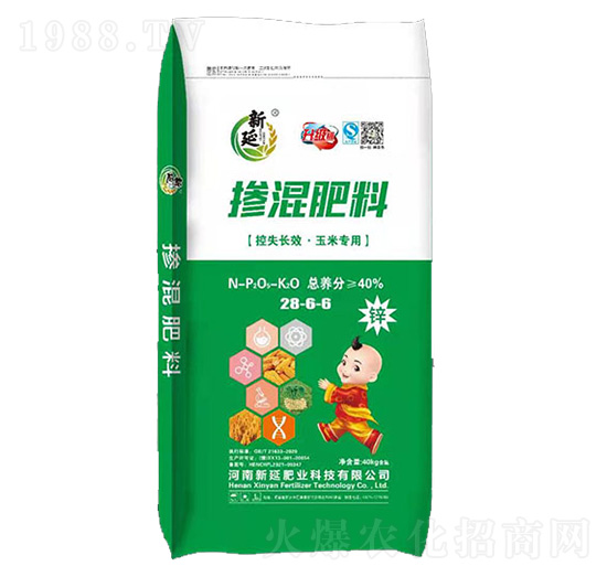 �������28-6-6�����׌��ã�-����