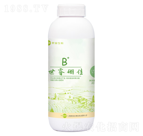 ���B+-�������