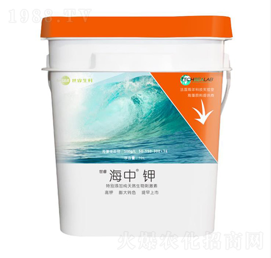 �����_ʩ��-����-�������