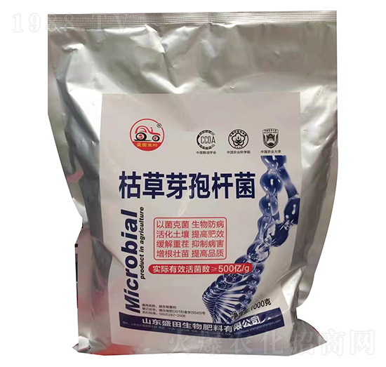 �ݲ�ѿ�ߗU��-ʢ������