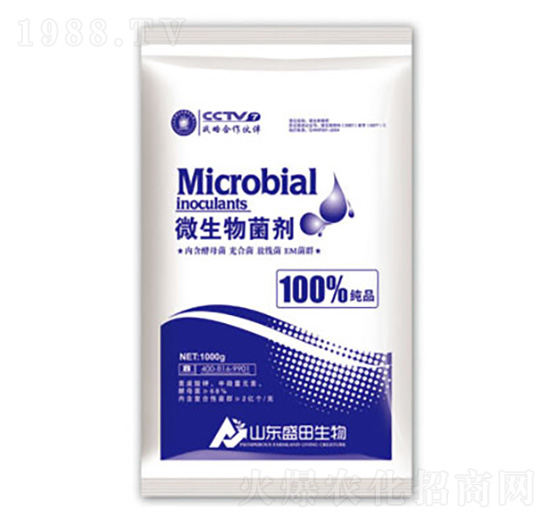 ΢�������-ʢ������