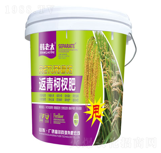 �����辷�-�n��̫-�����Ƽ�