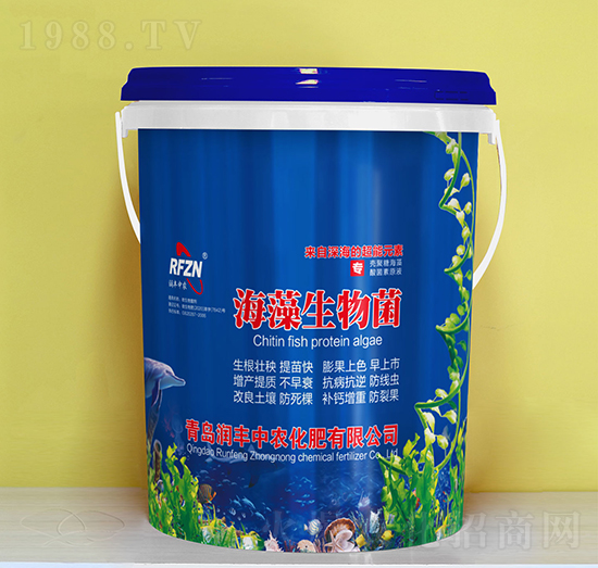 ���������-��(r��n)�S���r(n��ng)