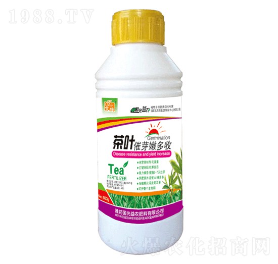 ���~��ѿ�۶���-��(gu��)�����r(n��ng)