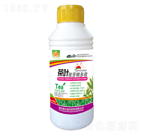 500g���~��ѿ�۶���-��(gu��)�����r(n��ng)