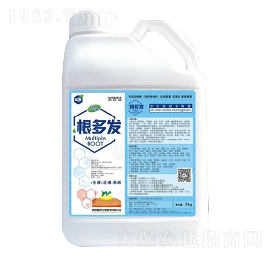 ����l(f��)-��������