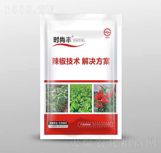 �������g(sh��)��Q����-�r(sh��)���S-ʥ���r(n��ng)�I(y��)