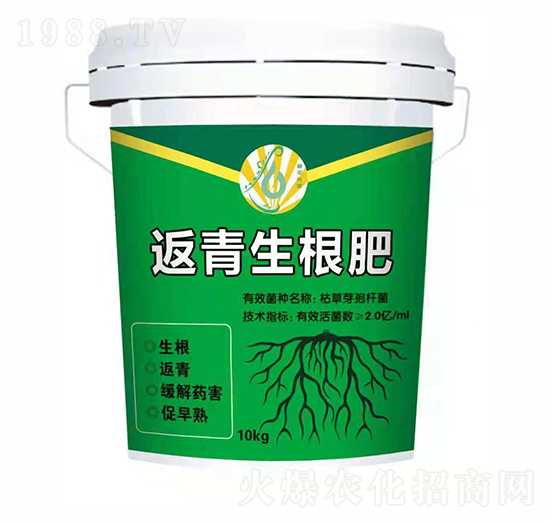 ����������-��ƽ��̼