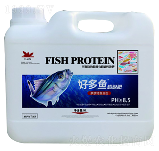 �ö��~-�ն���