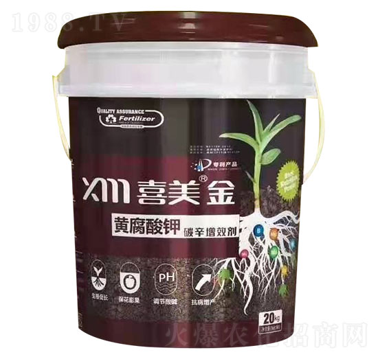 �S�����-ϲ����-ϲ���r�I(y��)