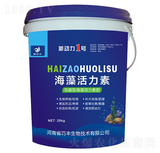 �����ͺ��������-����1̖-ԥ���S