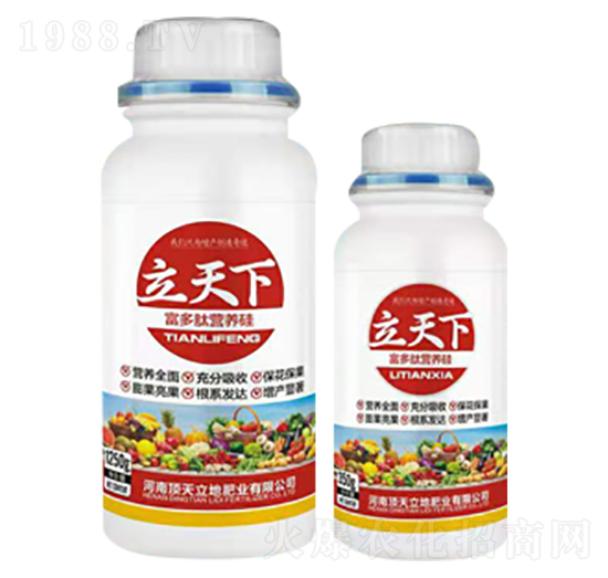 �����ĠI(y��ng)�B(y��ng)��-������-�������