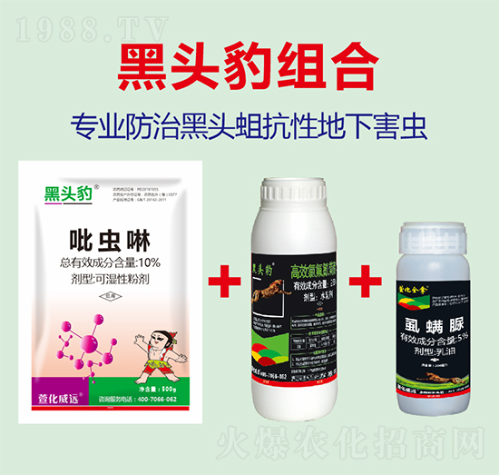 10%���x(ch��ng)��+2.5%��Ч�ȷ����������+50��ÿ�������-�滯���h(yu��n)