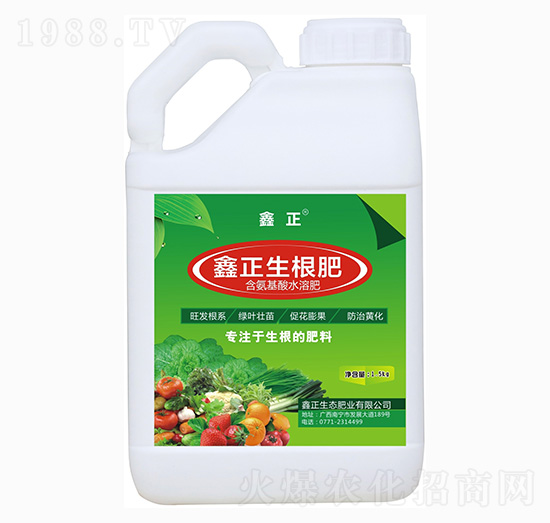 ������-����