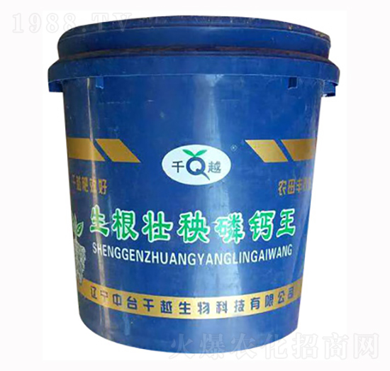 �����������}��-ǧԽ