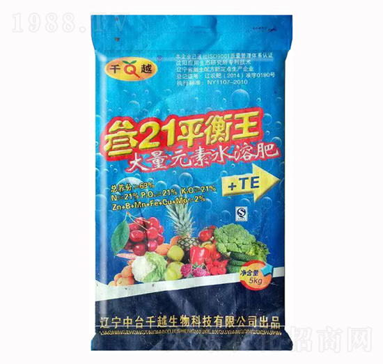 ��21ƽ����21-21-21-ǧԽ