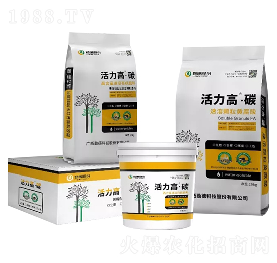 �S�����͏�(f��)������̼���-�����ߡ�̼-�ڵ¿Ƽ�