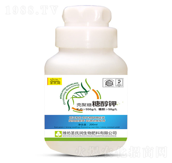 �������Ǵ��-ʥ�ϝ�(r��n)