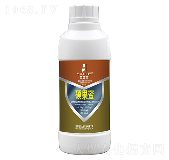 �T����-���A����