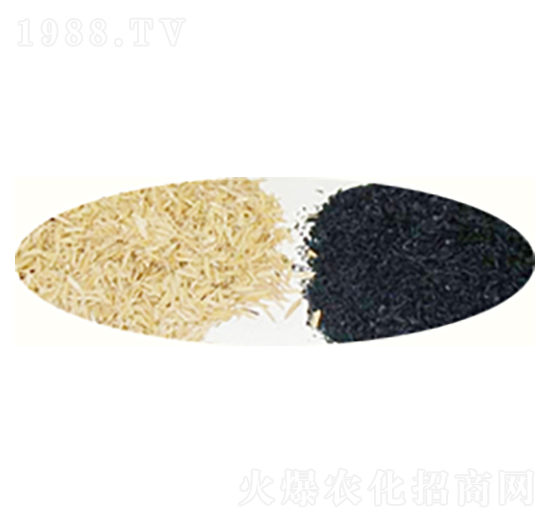 ������������̿-ԣ����Դ