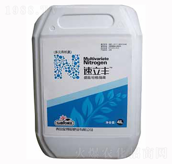 �ߝ�s���}�Ƅ�-�����S-���J