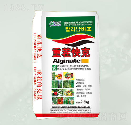 �ز���-���@����